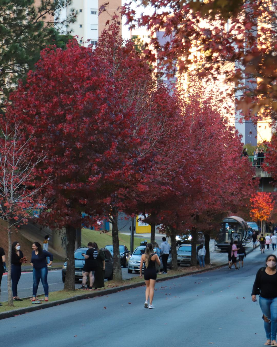 Outono 2026 no Paraná terá chuva acima da média e temperaturas ligeiramente elevadas