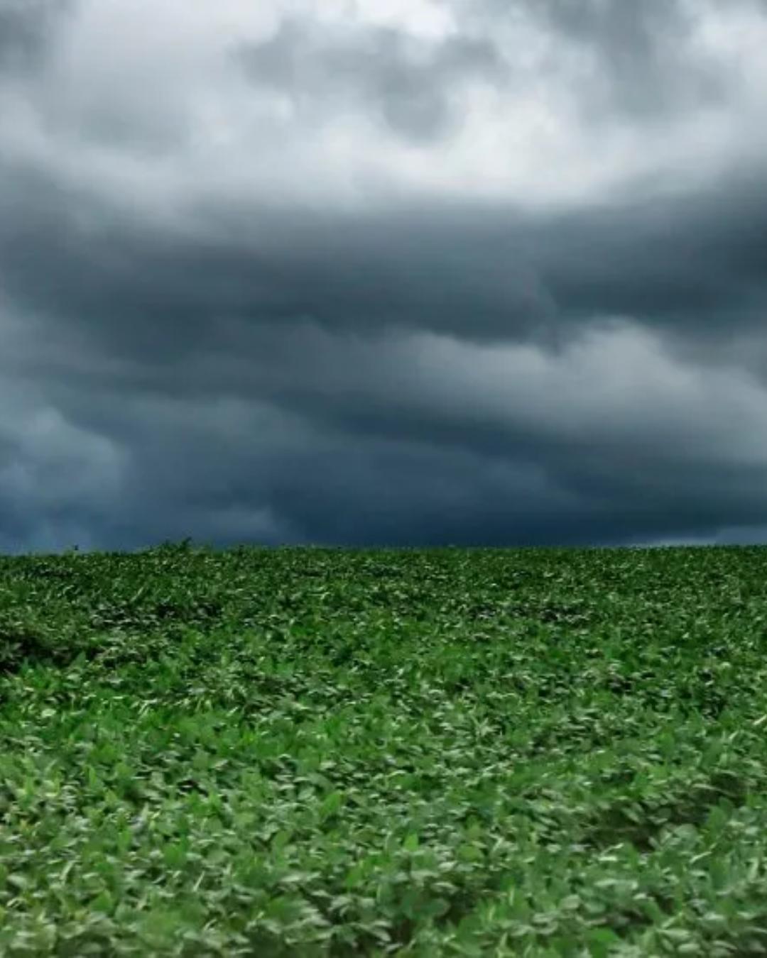 Previsão aponta 62% de chance de formação do El Niño em 2026, segundo NOAA