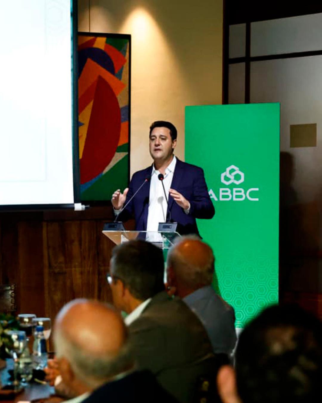 Rascunho automático