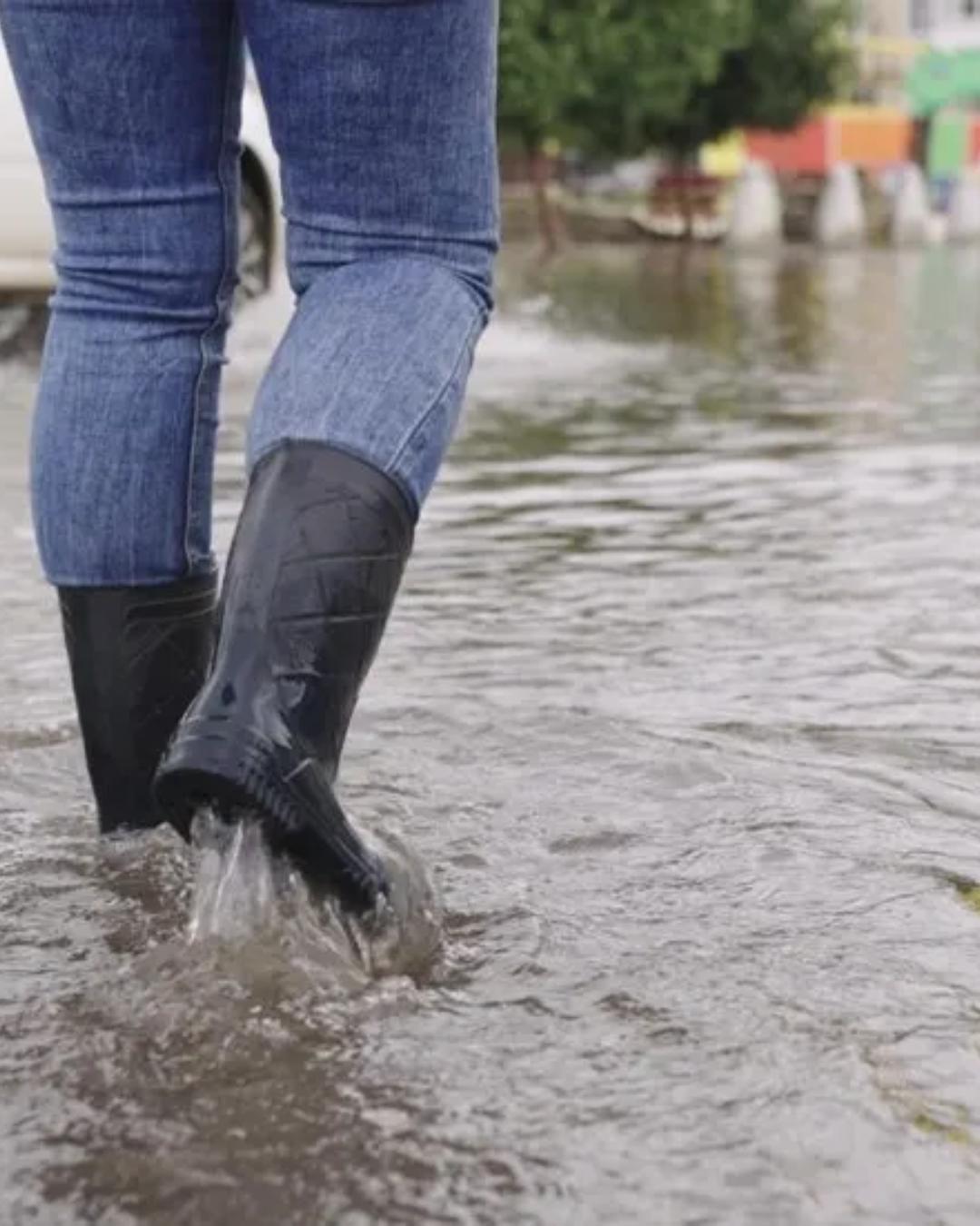 Sesa alerta para prevenção da leptospirose com previsão de chuvas intensas no outono no Paraná