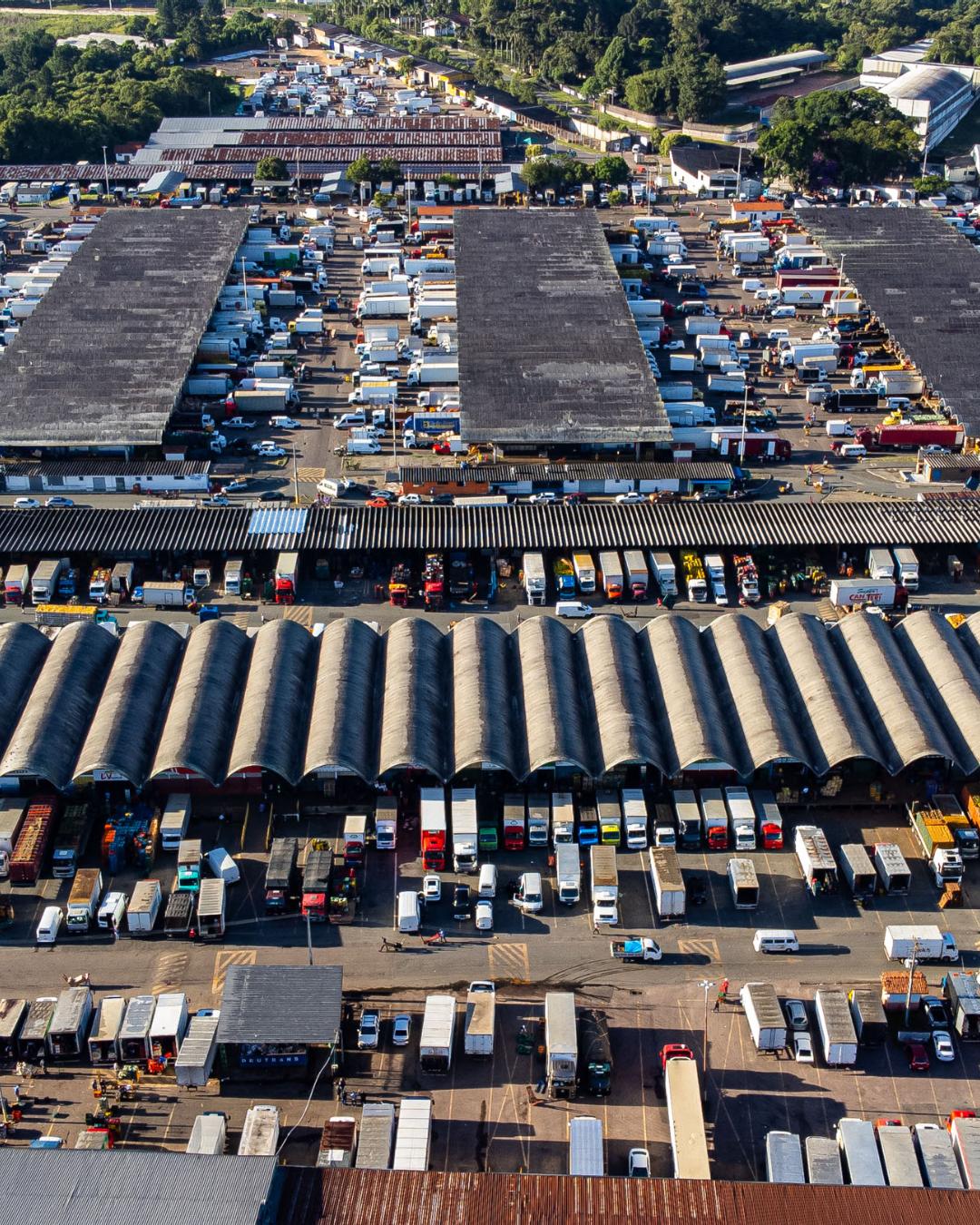 Ceasa Curitiba realiza regularização eleitoral e certificação do ensino fundamental em parceria com TRE-PR