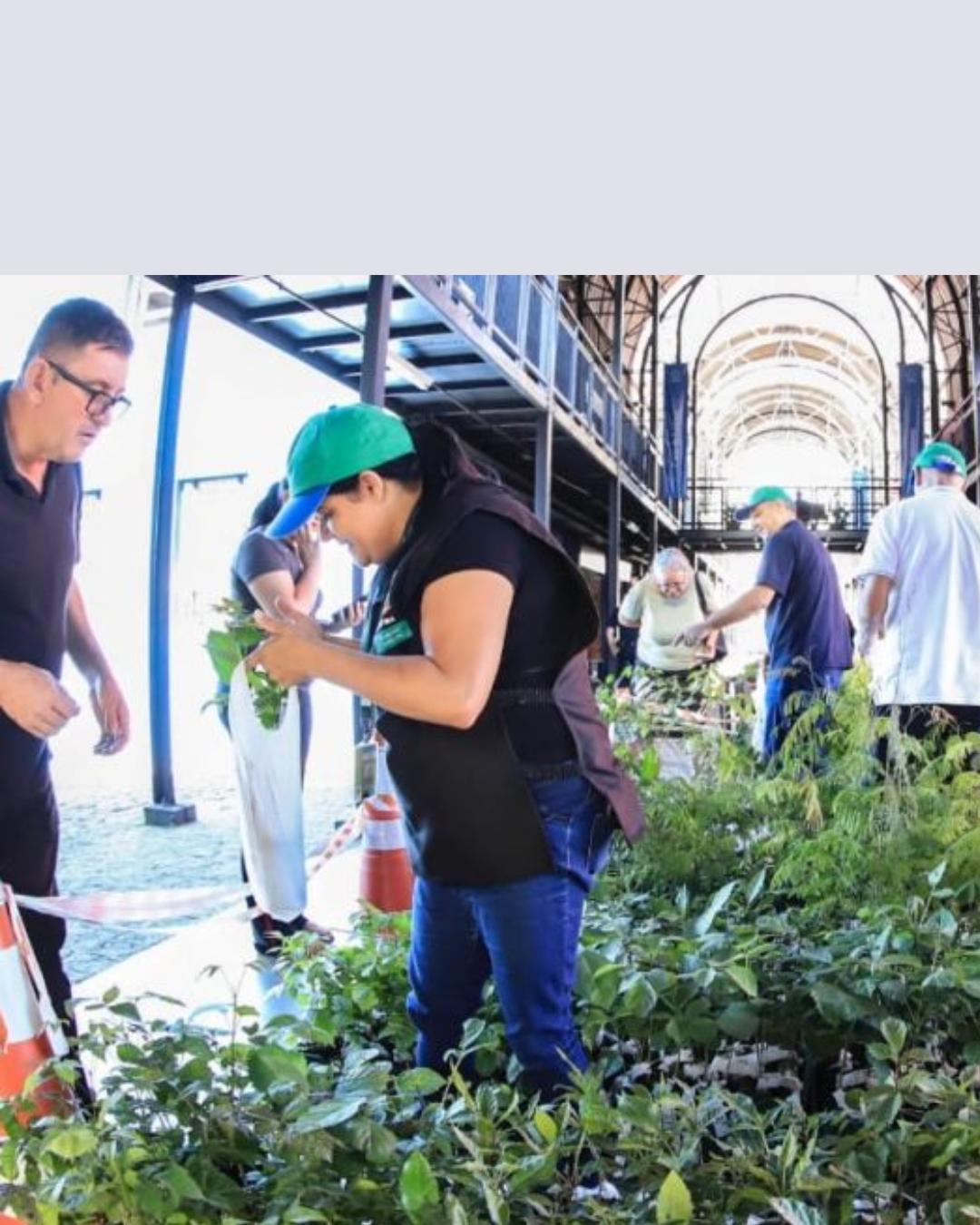 Curitiba conclui entrega de 10 mil mudas entre 28 e 30 de abril pelo programa Meio Milhão de Árvores