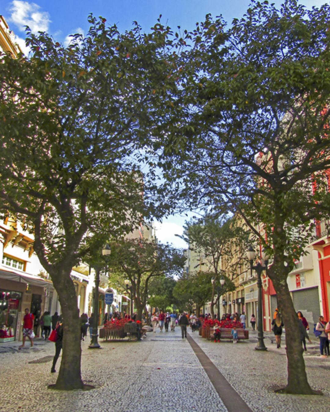 Curitiba disputa prêmio de DTI do Ano