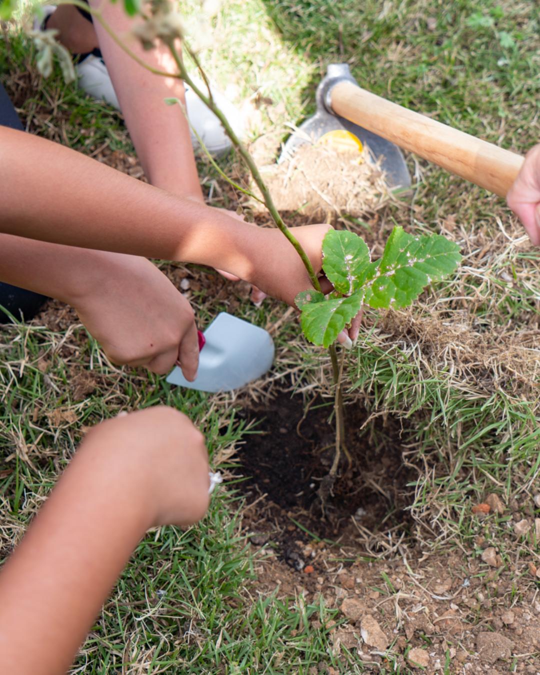 Estudantes de São José dos Pinhais plantam cinturão verde para recuperar o Rio Avril