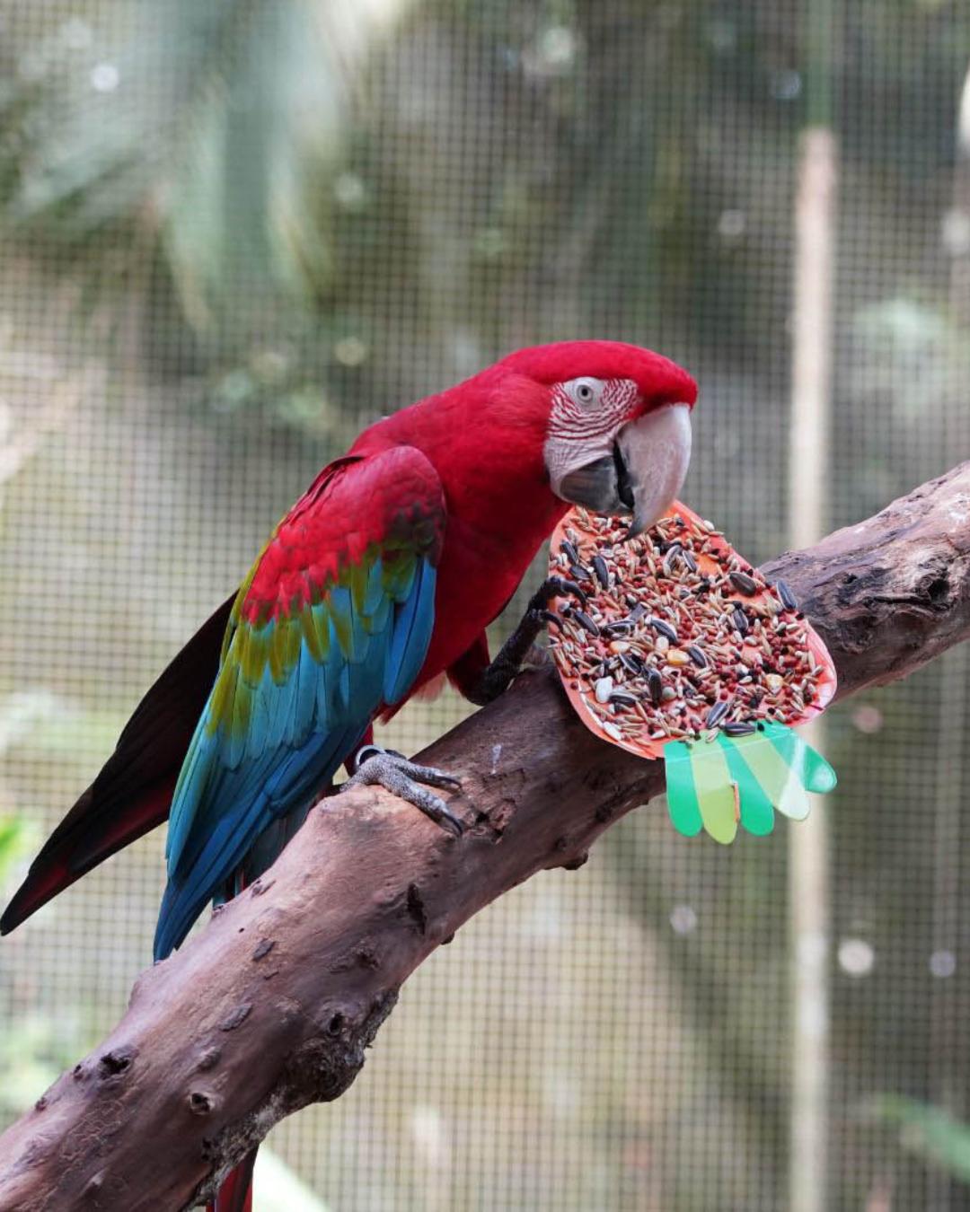 Feriado de Páscoa oferece turismo cultural, religioso e de natureza pelo Paraná