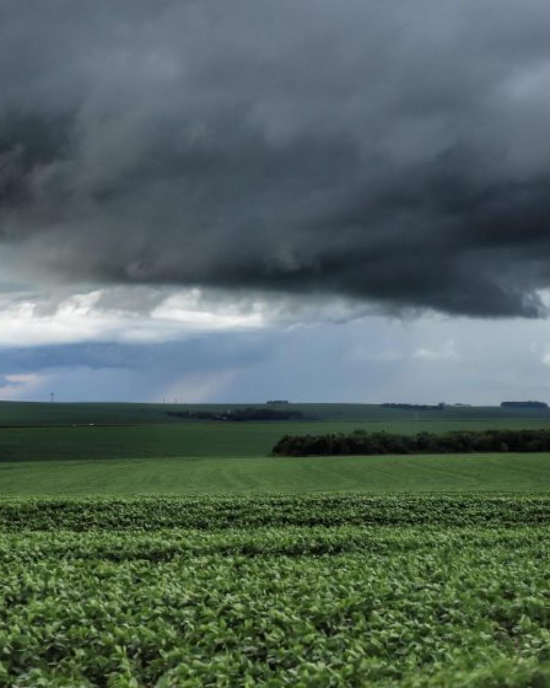 Paraná enfrenta avanço de instabilidade com previsão de tempestades e chuvas intensas neste domingo