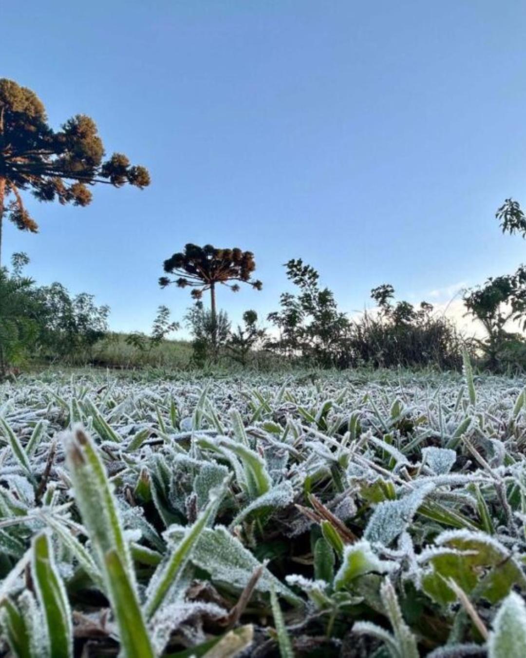 Previsão indica queda de temperatura no Paraná com mínima de até 4°C