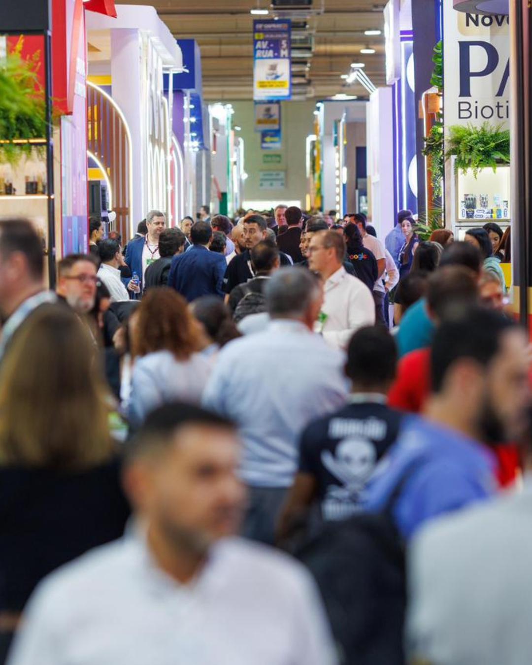 Rascunho automático