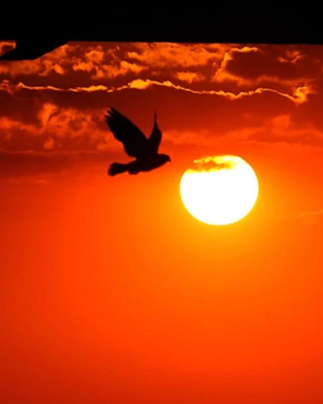 Sol retorna ao Paraná após dias nublados, mas previsão indica instabilidade no fim de semana