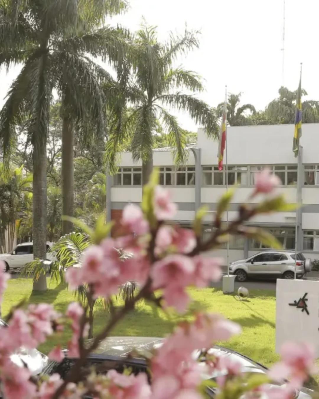 UEM inicia inscrições para Vestibular de Inverno 2026 com 1.123 vagas em 70 cursos