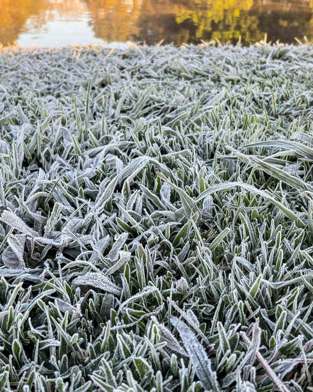 Alerta Geada inicia nova temporada para orientar produtores durante período mais frio do ano