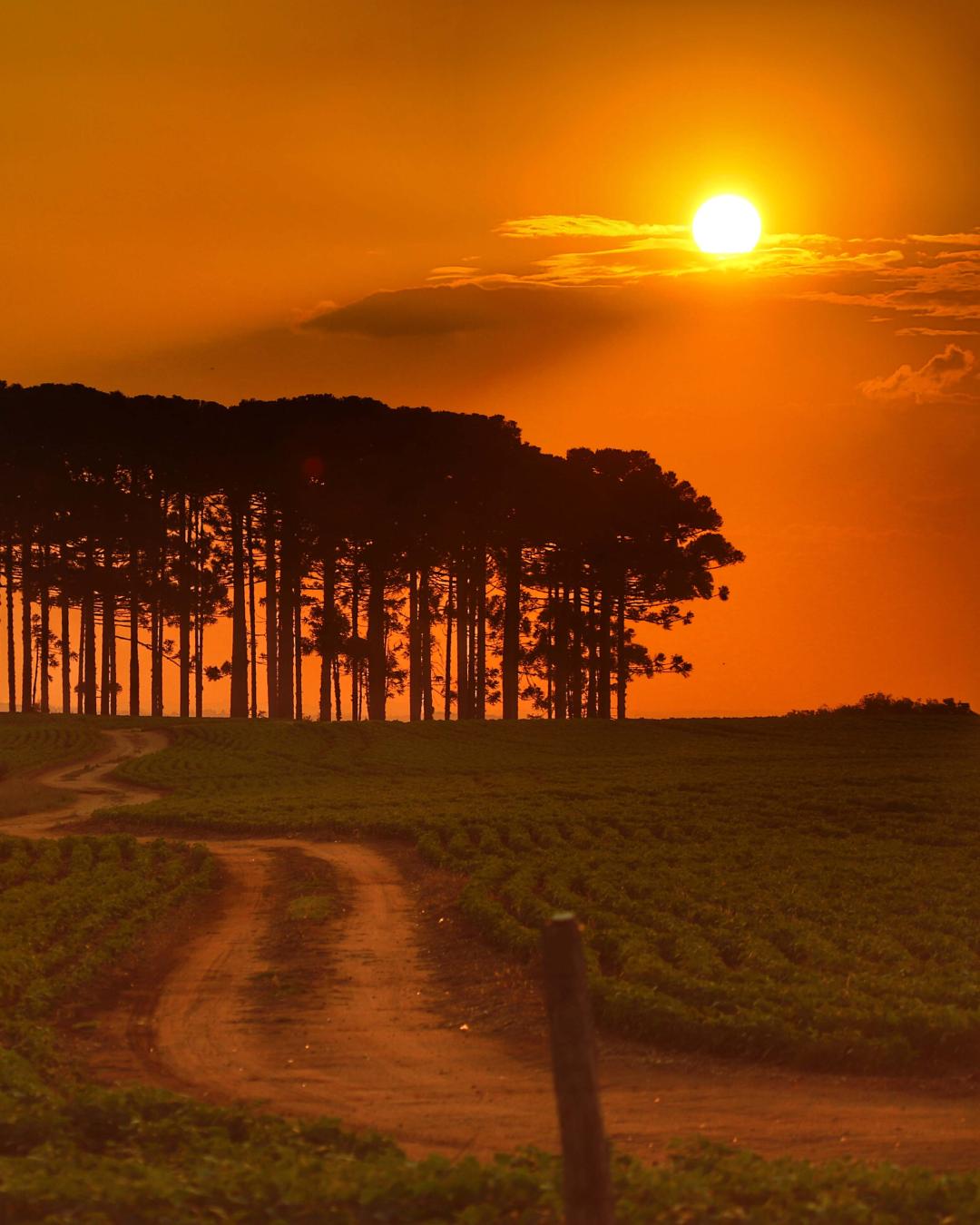 Céu laranja no outono e inverno é efeito da poluição e inversão térmica, aponta meteorologista