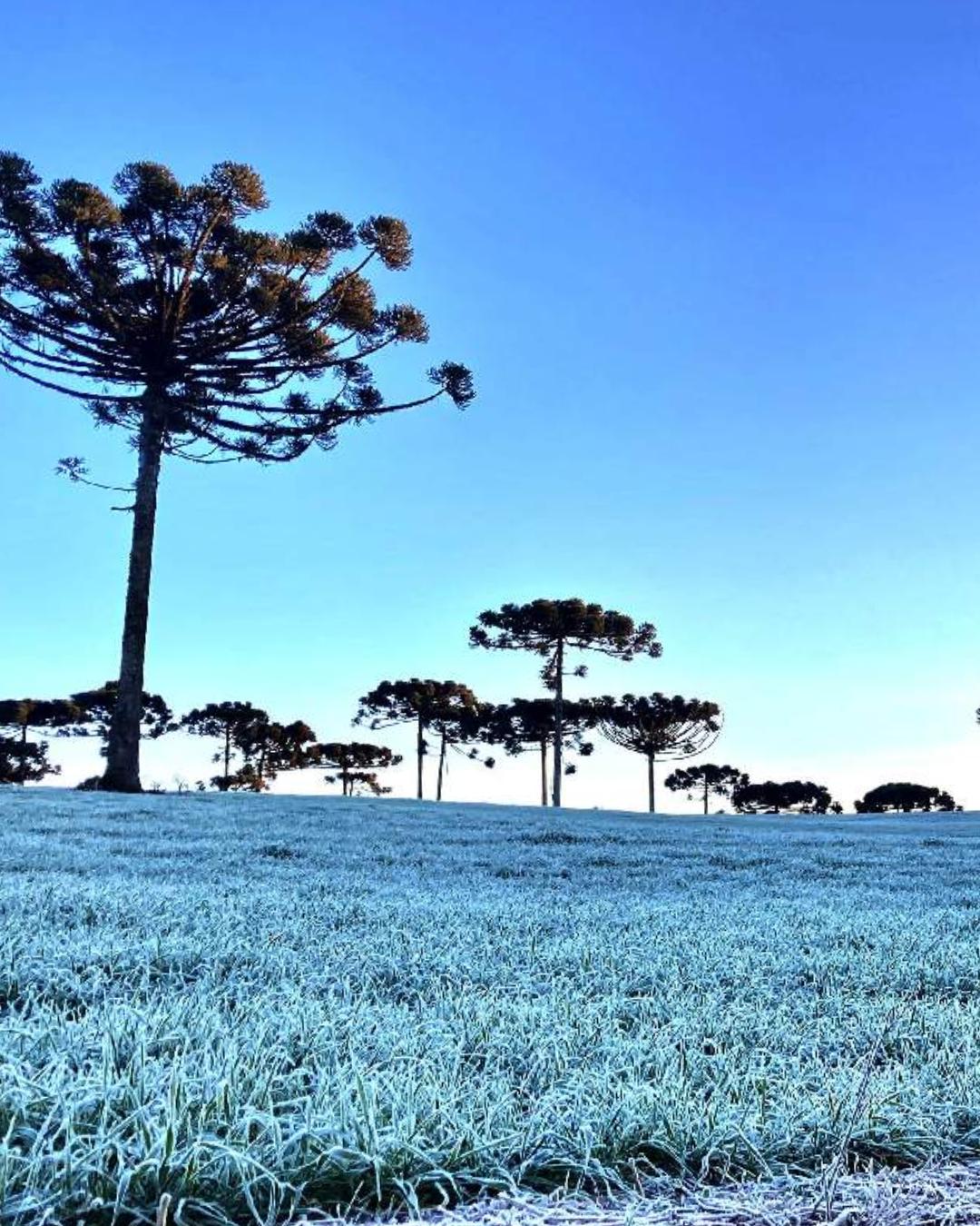 Frio intenso se aproxima e temperaturas no Paraná podem atingir 2°C em maio