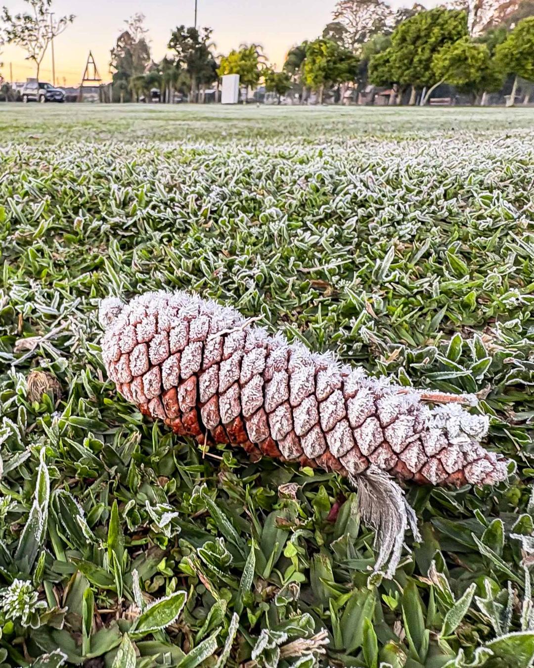 Maio no Paraná terá geadas, frentes frias e temperaturas mais baixas em áreas específicas