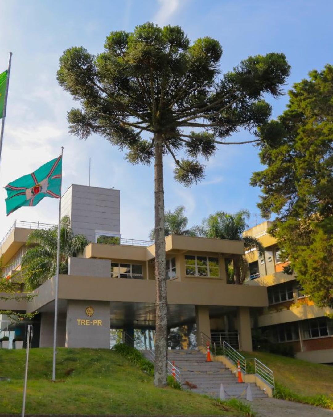 Paraná realiza plantões eleitorais neste fim de semana para regularização do título