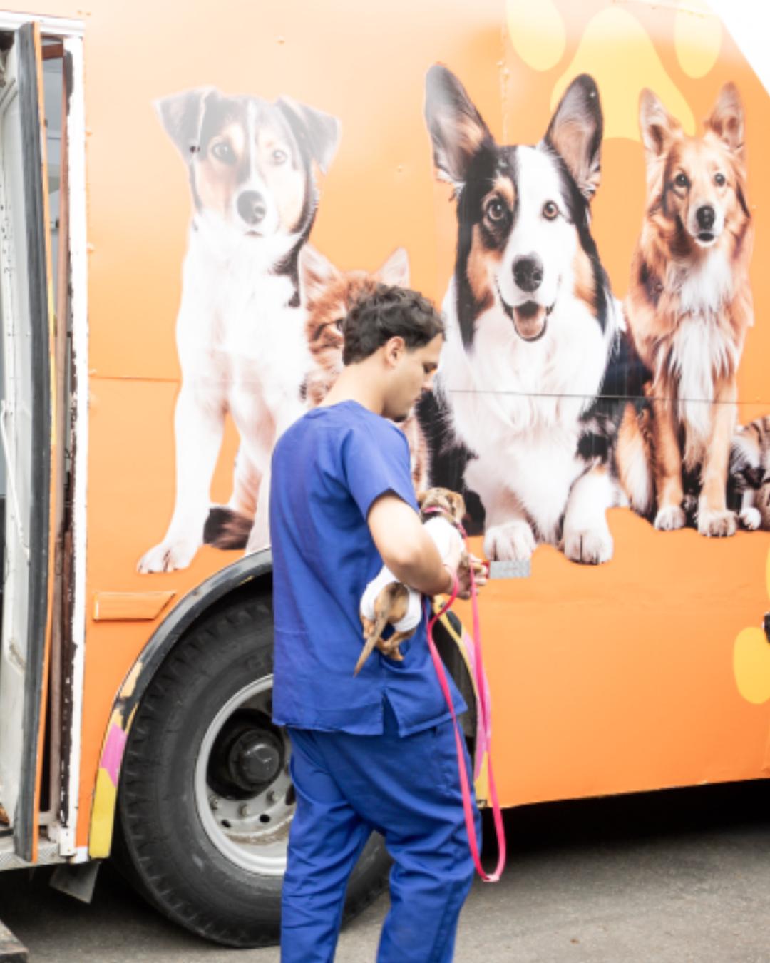 Pinhais abre novo mutirão de castração para cães e gatos em maio