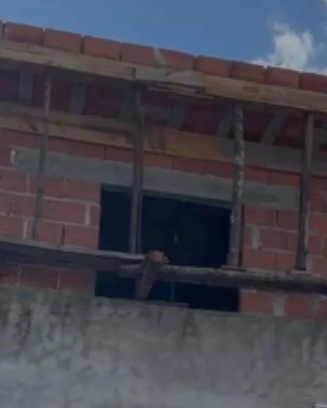 Trabalhador de 61 anos sofre queda de 6 metros em obra em Colombo e é hospitalizado