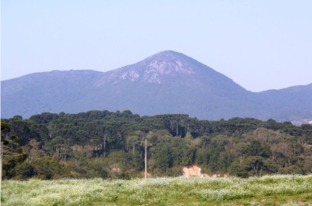 OVNIs voltam a repercutir no Paraná; região de Quatro Barras já registrou relatos e pesquisas sobre avistamentos