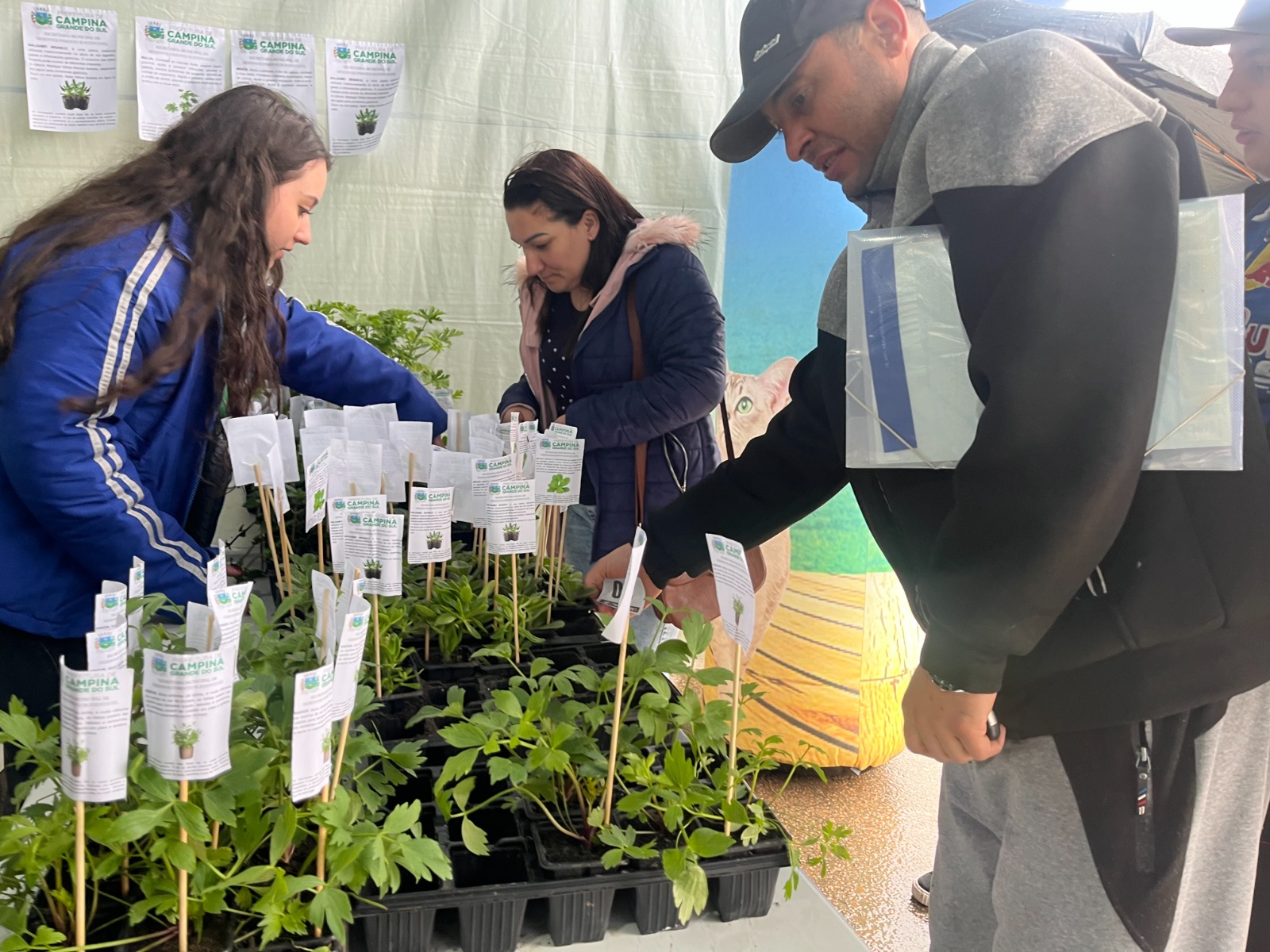 Distribuição de mudas de ervas e plantas aromáticas incentivou o cultivo doméstico e a conscientização ambiental