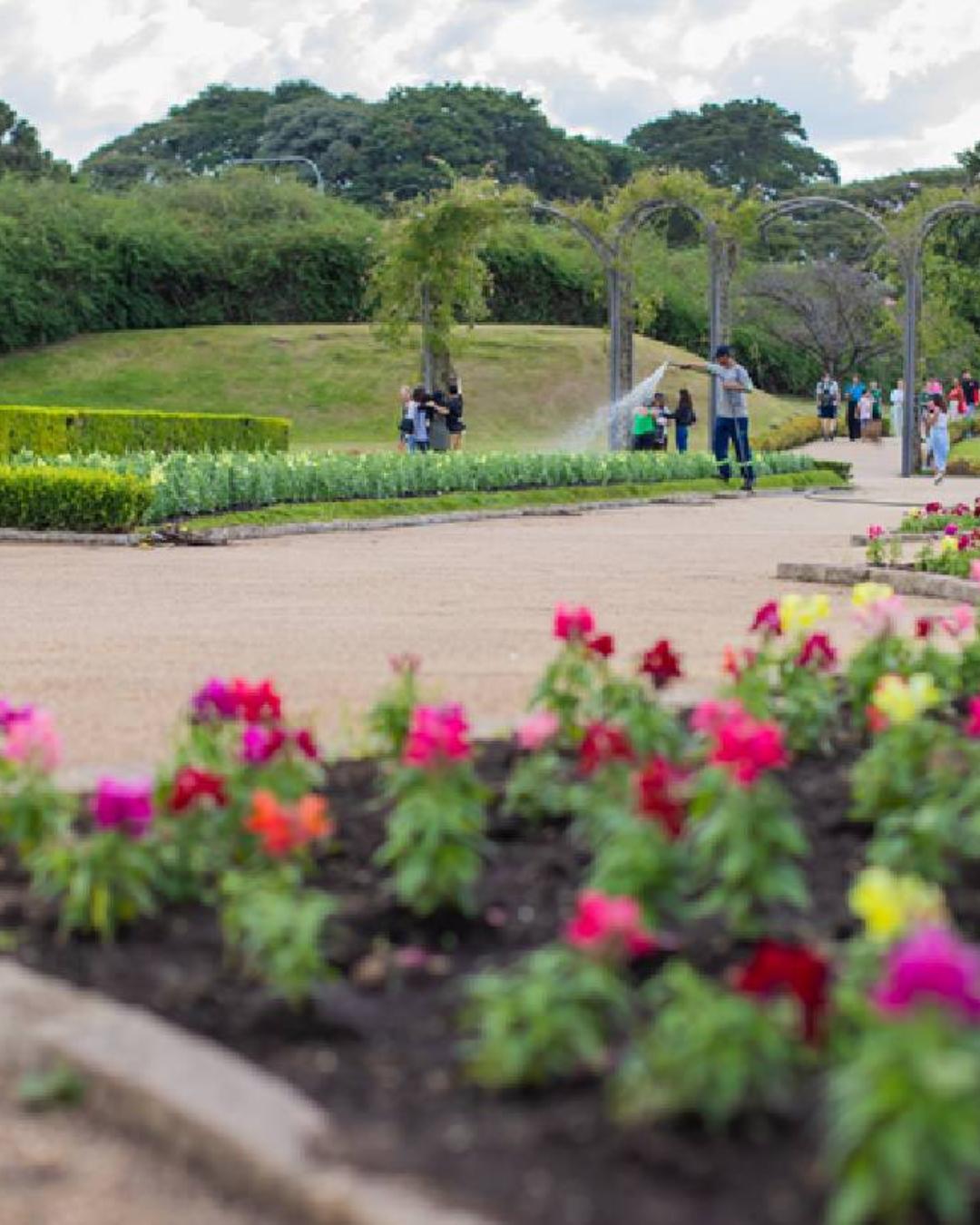 Corpus Christi em Curitiba terá frio, garoa e rajadas de vento