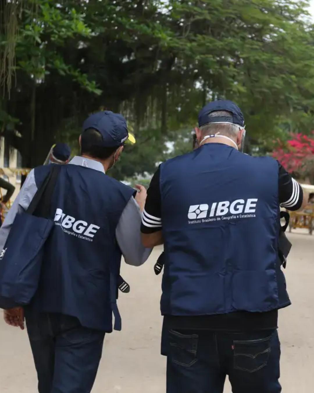 IBGE abre 8,2 mil vagas temporárias para o Censo Agropecuário; inscrições até 2026