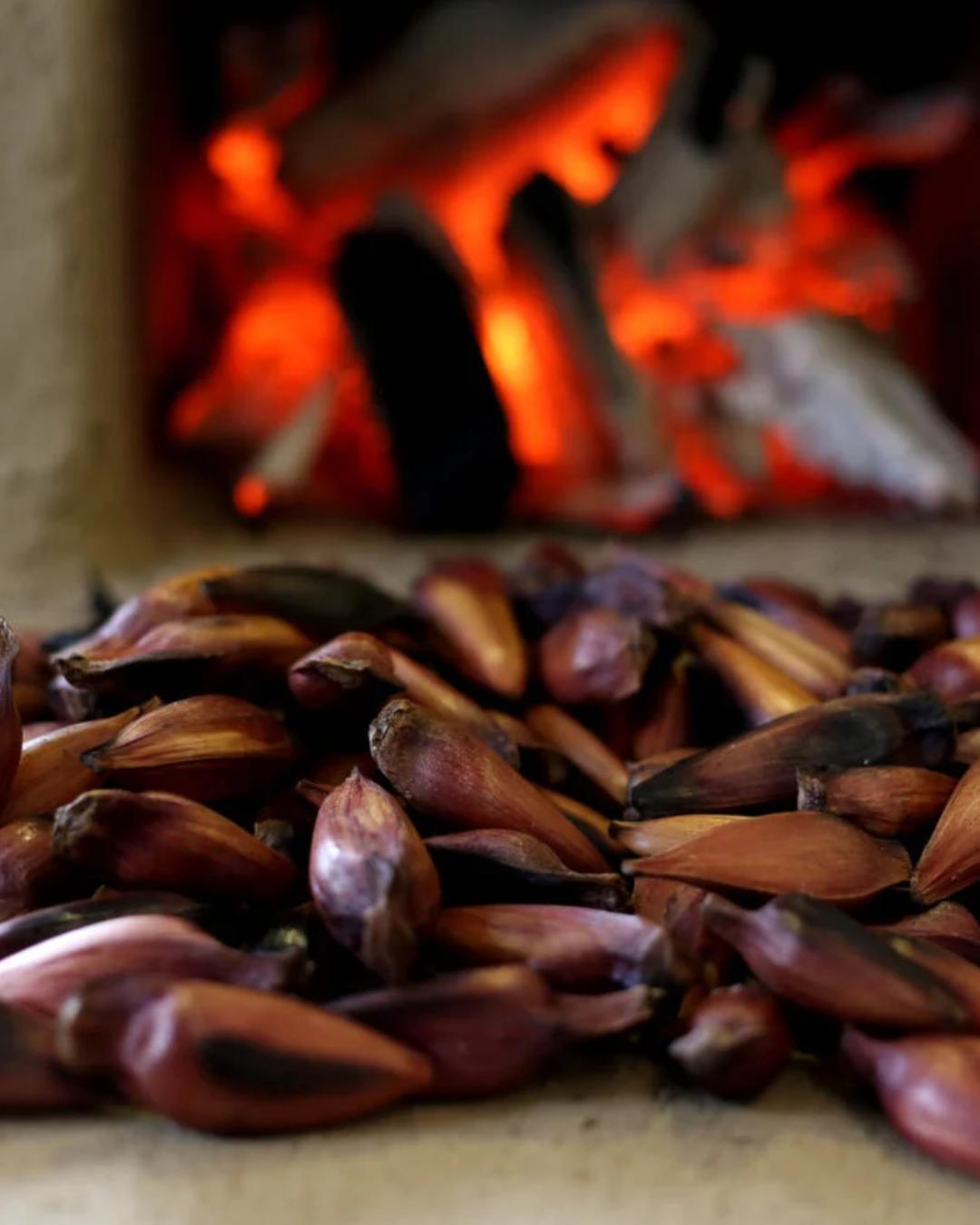 6º Festival do Pinhão promove gastronomia e turismo rural em São José dos Pinhais