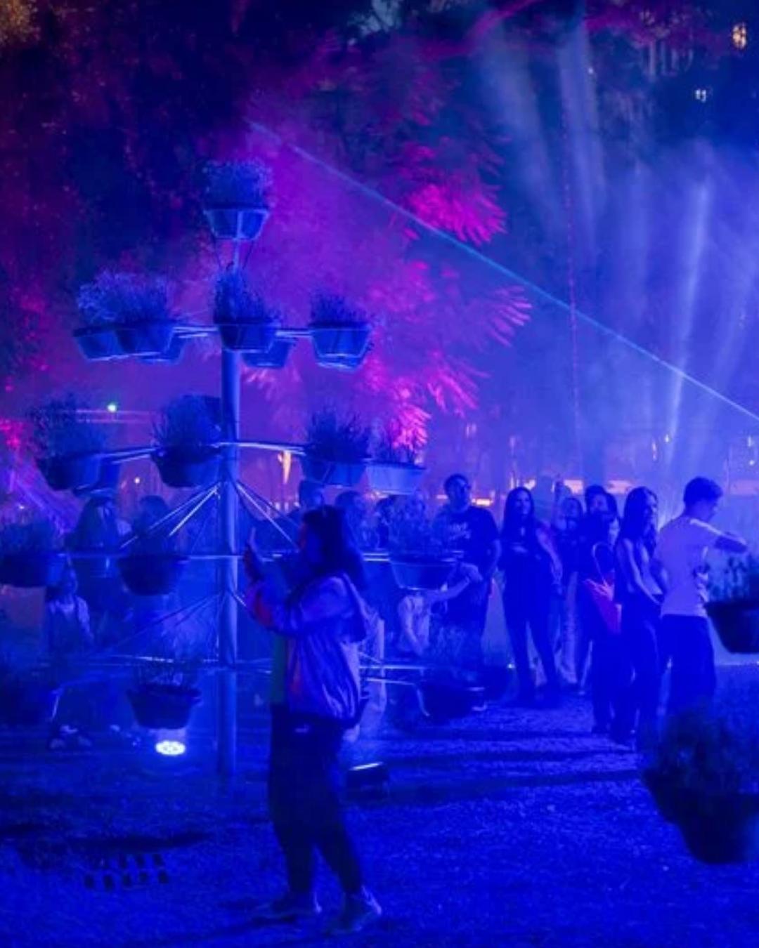 Inverno Encantado transforma Passeio Público em palco de luzes e atrações para todas as idades em Curitiba