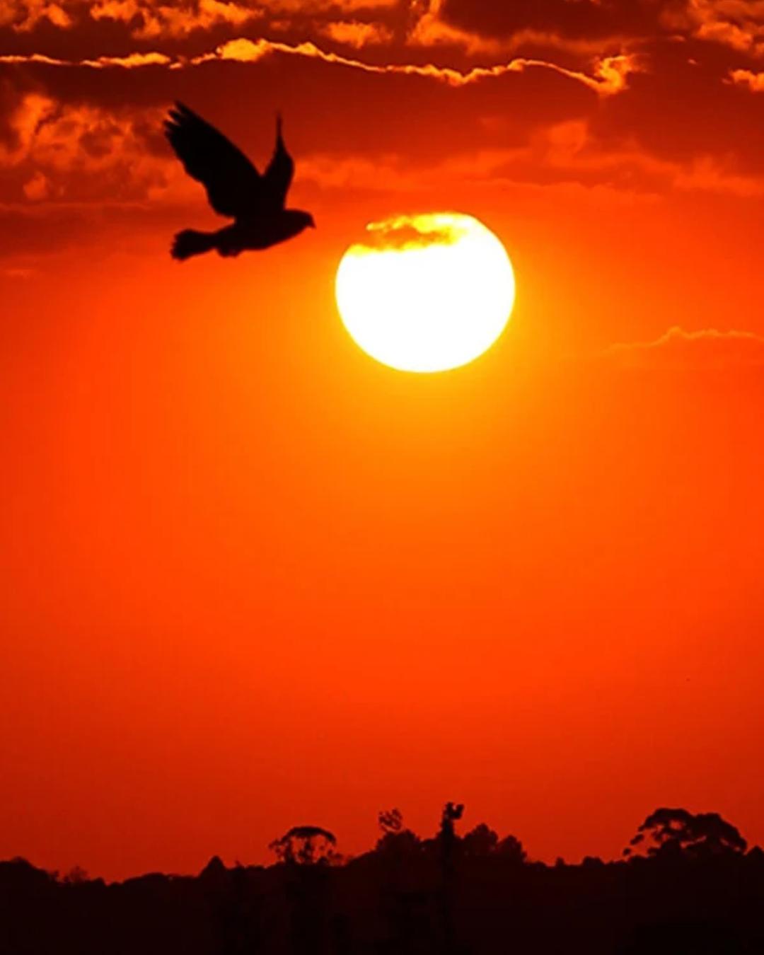 Paraná enfrenta oscilação climática com calor, chuva e alerta de tempestades