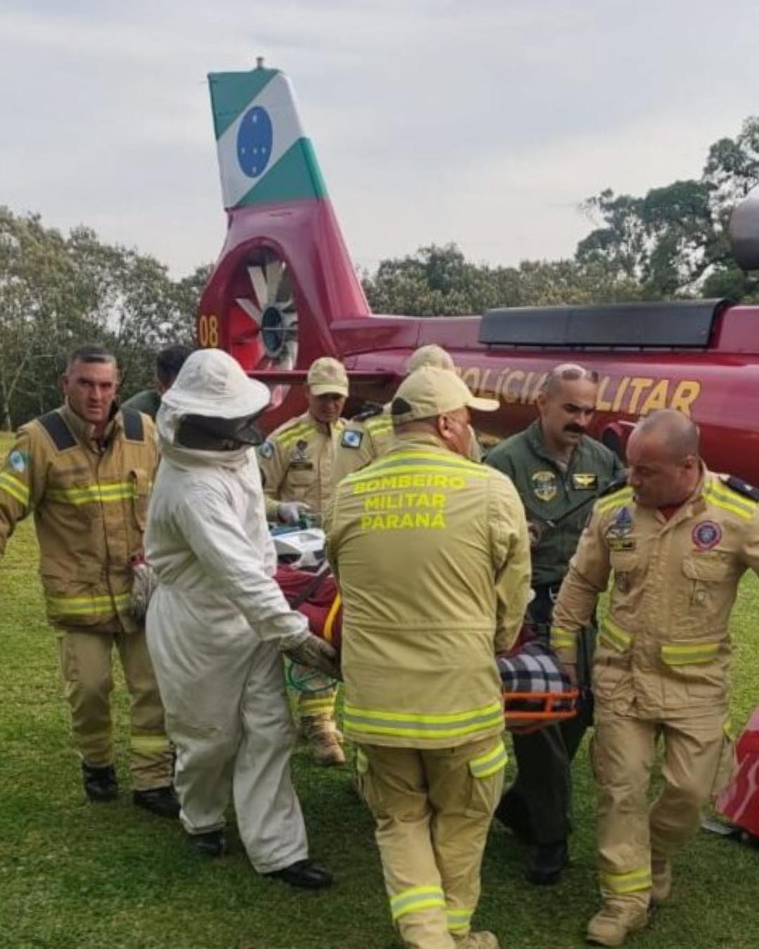 Ataque de abelhas deixa trabalhador em estado gravíssimo e fere criança em São José dos Pinhais