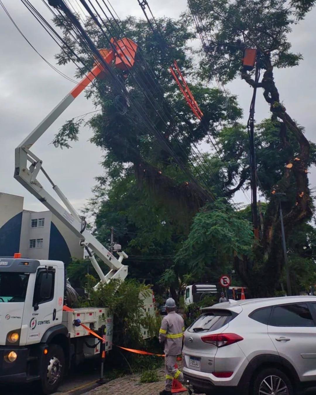 Copel realiza podas de árvores em cinco bairros de Curitiba nesta quarta-feira