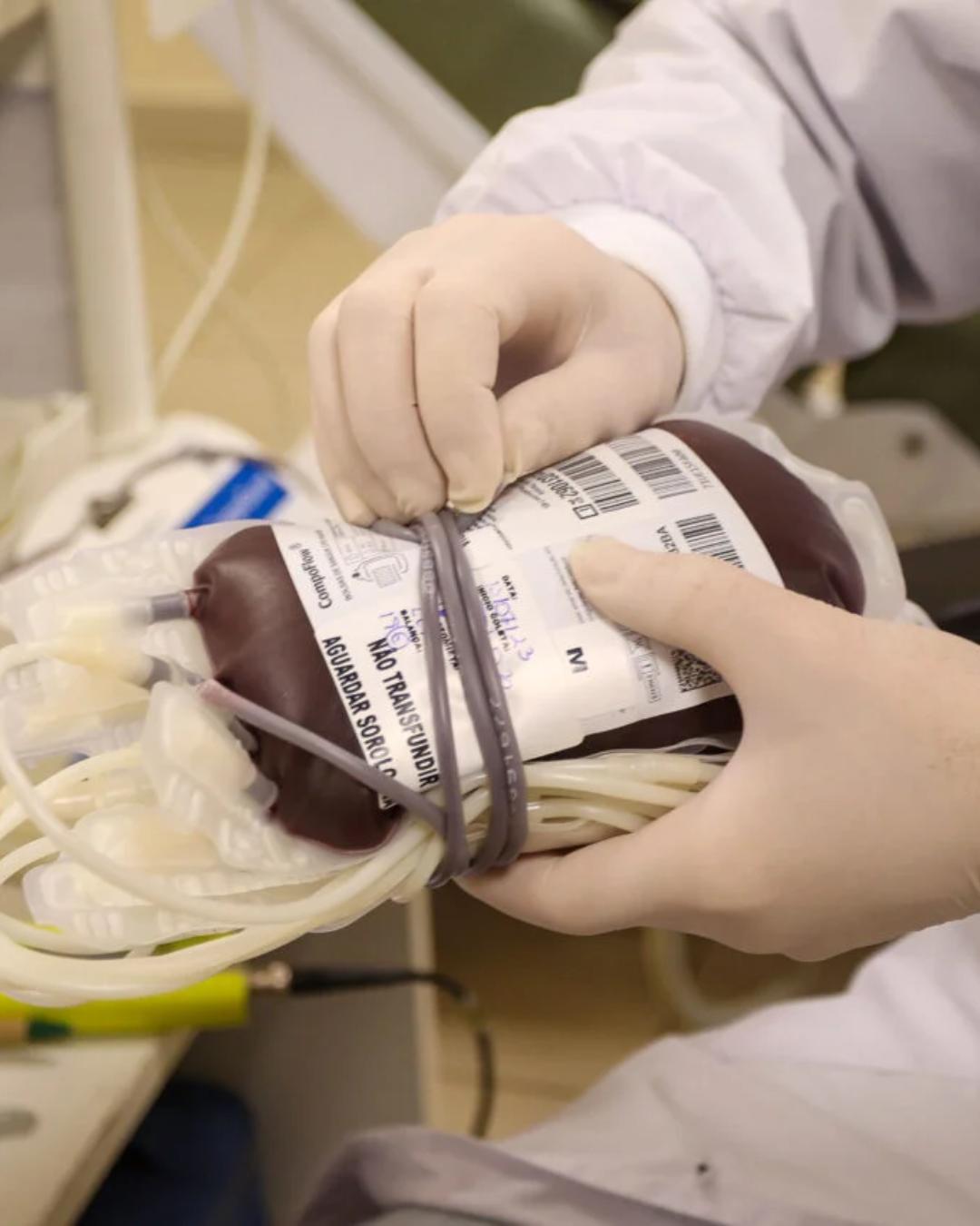 Doações de sangue crescem no Paraná, mas Hemepar pede reforço de O- e O+