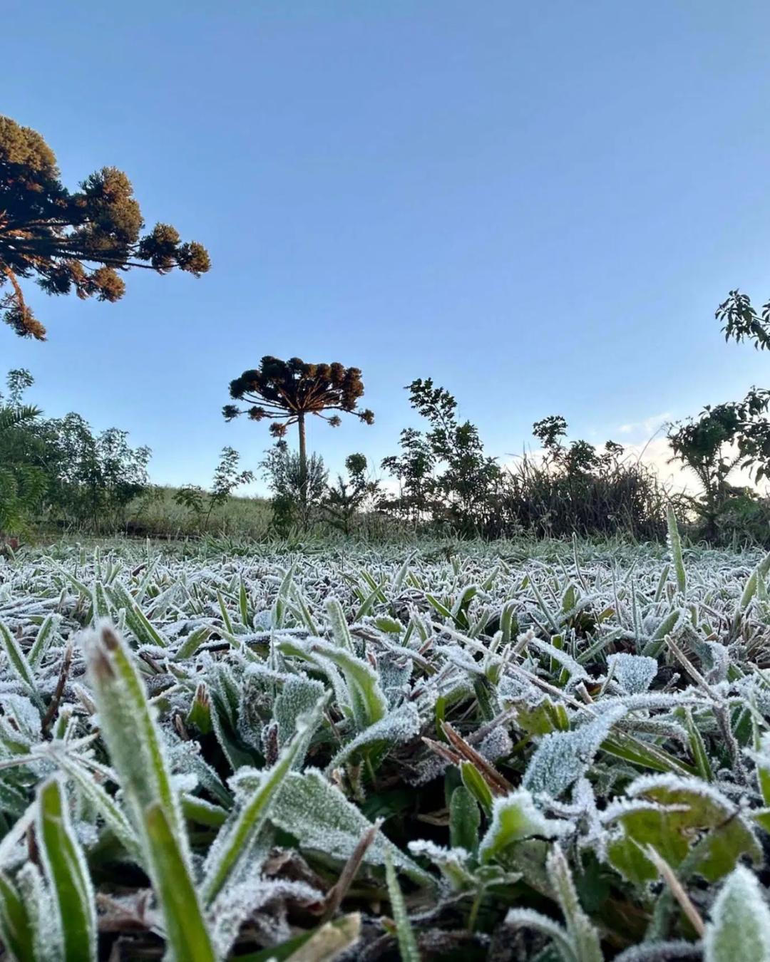 General Carneiro registra 7,7°C e tem a menor temperatura do Paraná nesta segunda-feira
