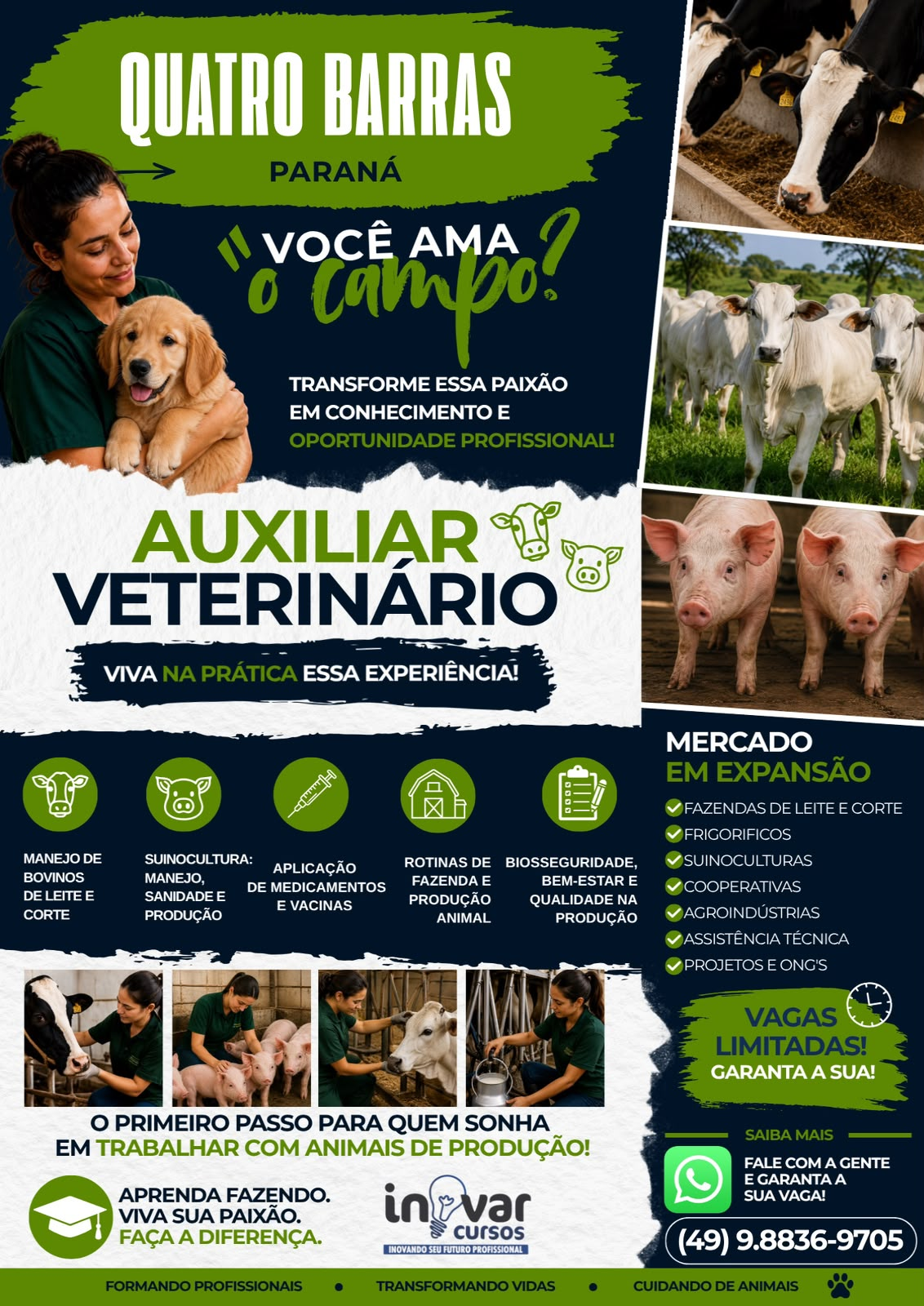 Curso de Auxiliar de Medicina Veterinária abre inscrições em Quatro Barras e Campina Grande do Sul