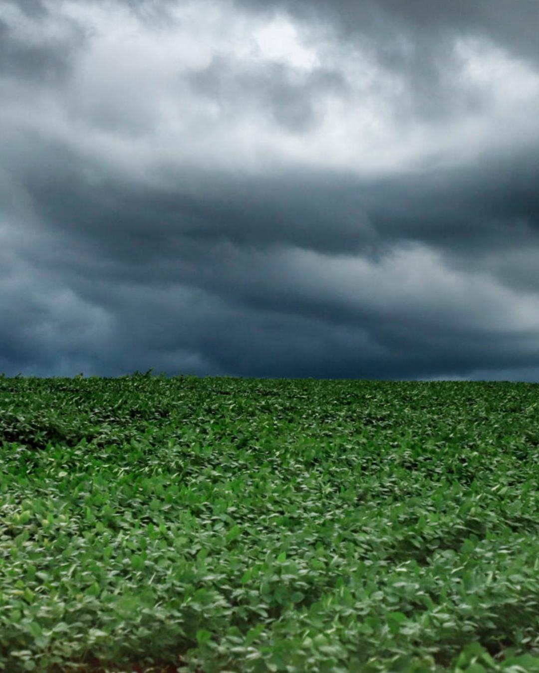 Paraná tem alerta de tempestades com chuvas intensas e ventos fortes nesta sexta-feira (14)