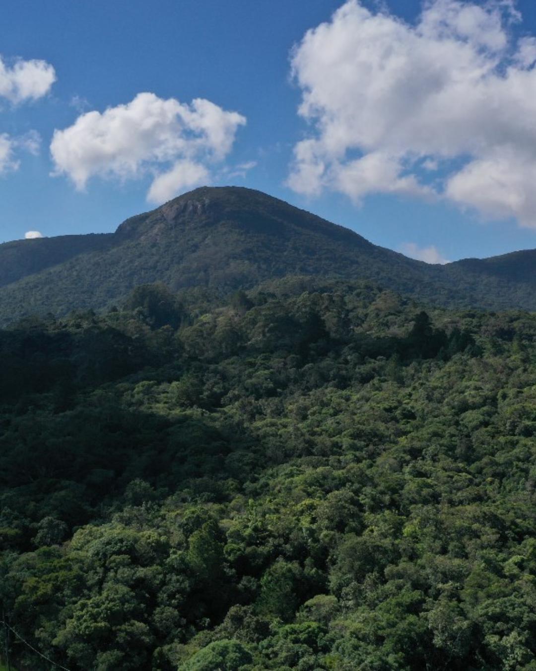 Parque Estadual da Serra da Baitaca restringe horários e ajusta regras de acesso a partir de outubro