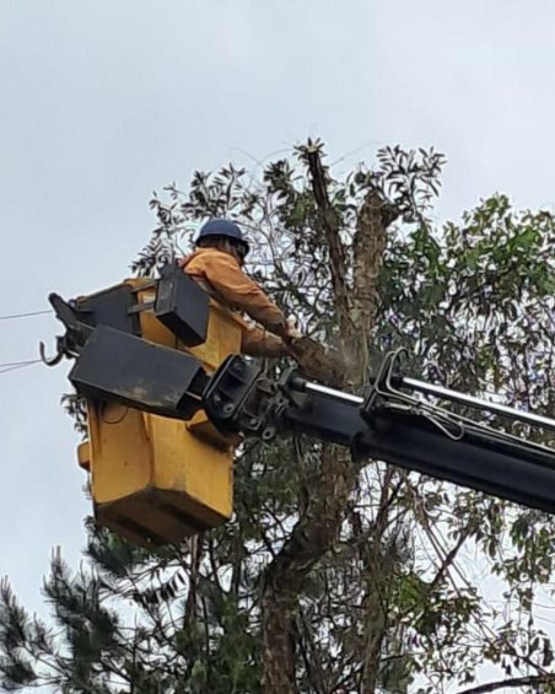 Após tempestades, mais de 40 mil imóveis seguem sem luz no Paraná