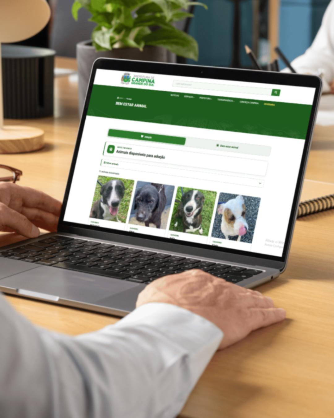 Campina Grande do Sul lança sistema digital para adoção e proteção animal