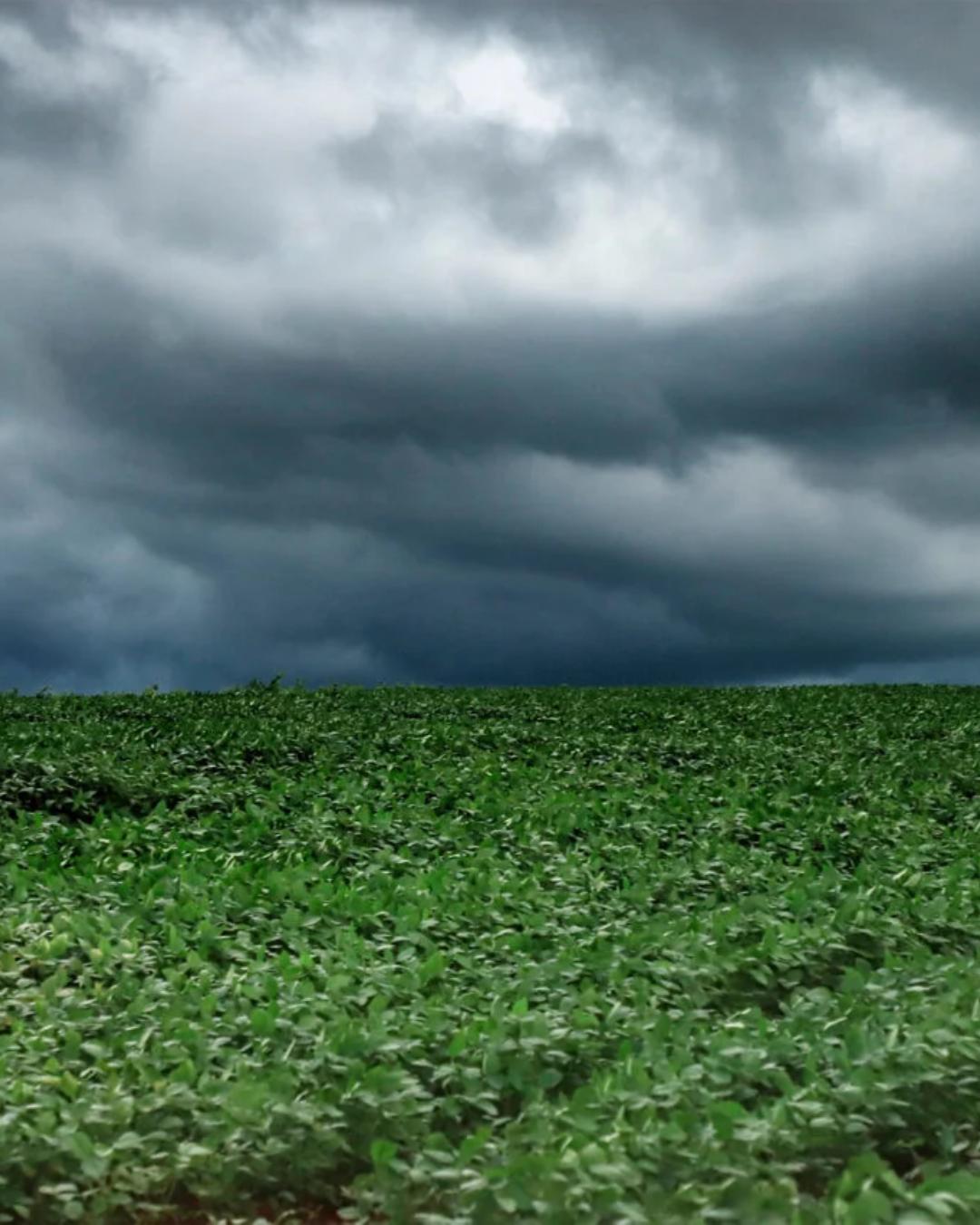 Curitiba e outras regiões do Paraná têm alerta para tempestades nesta segunda-feira (28)