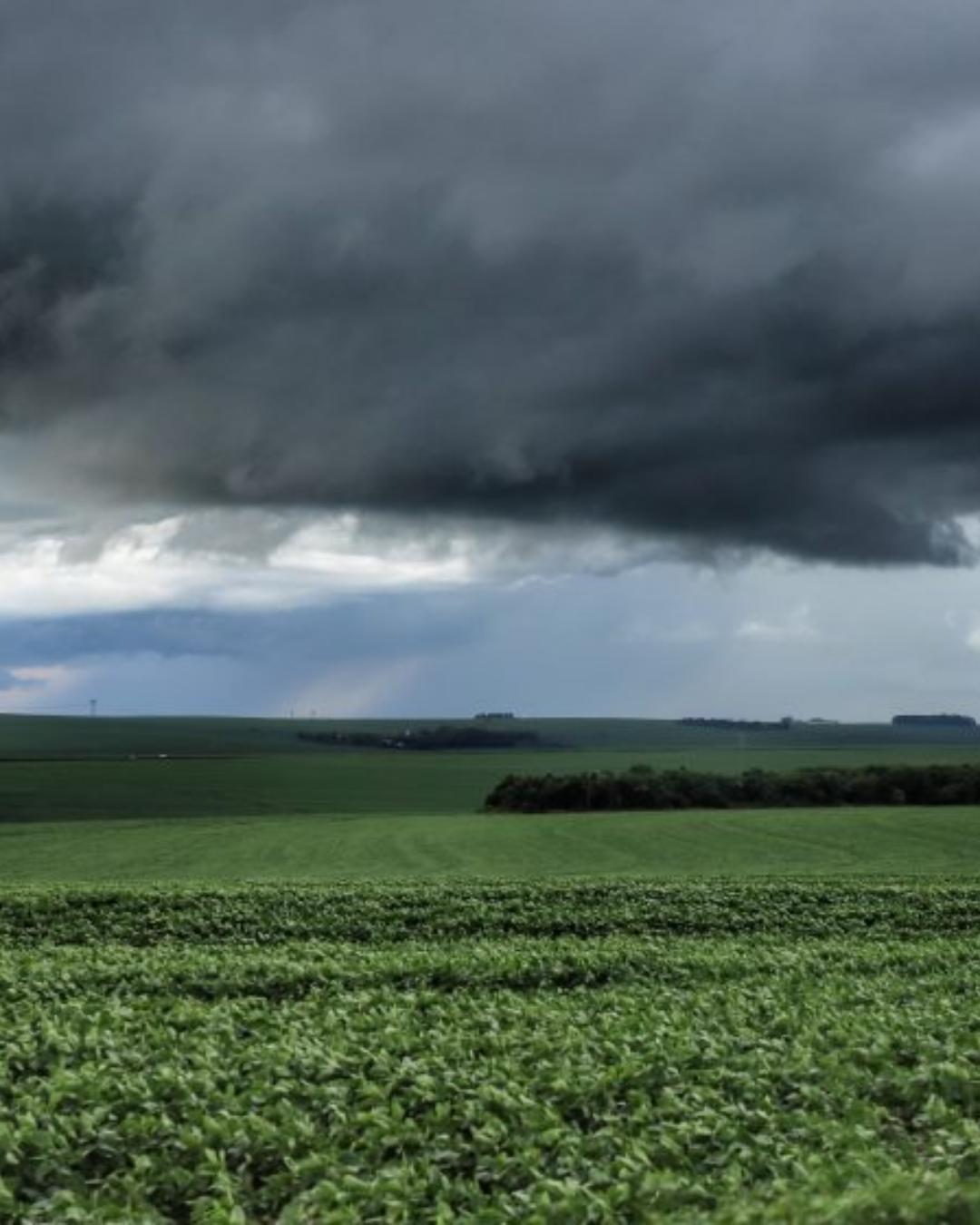 Frente fria traz tempestades e queda de temperatura no Paraná nesta terça (29)