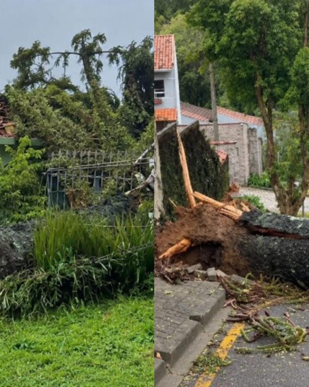 Temporal em Curitiba supera metade da chuva de setembro em 12 horas e causa estragos