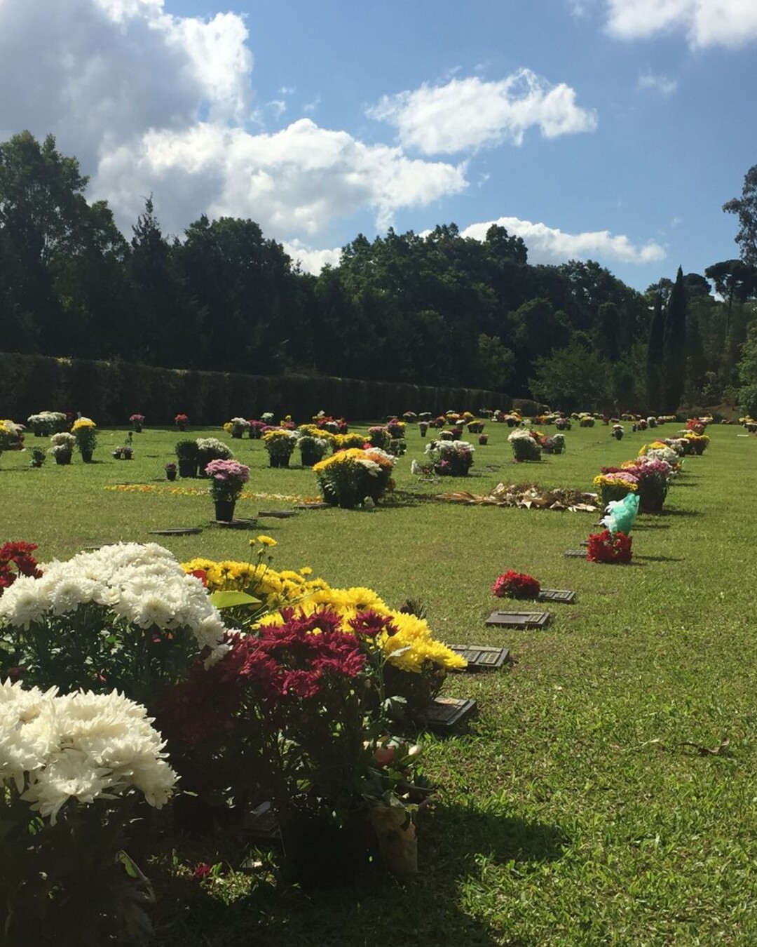Memorial Graciosa organiza atendimento para o Dia de Finados