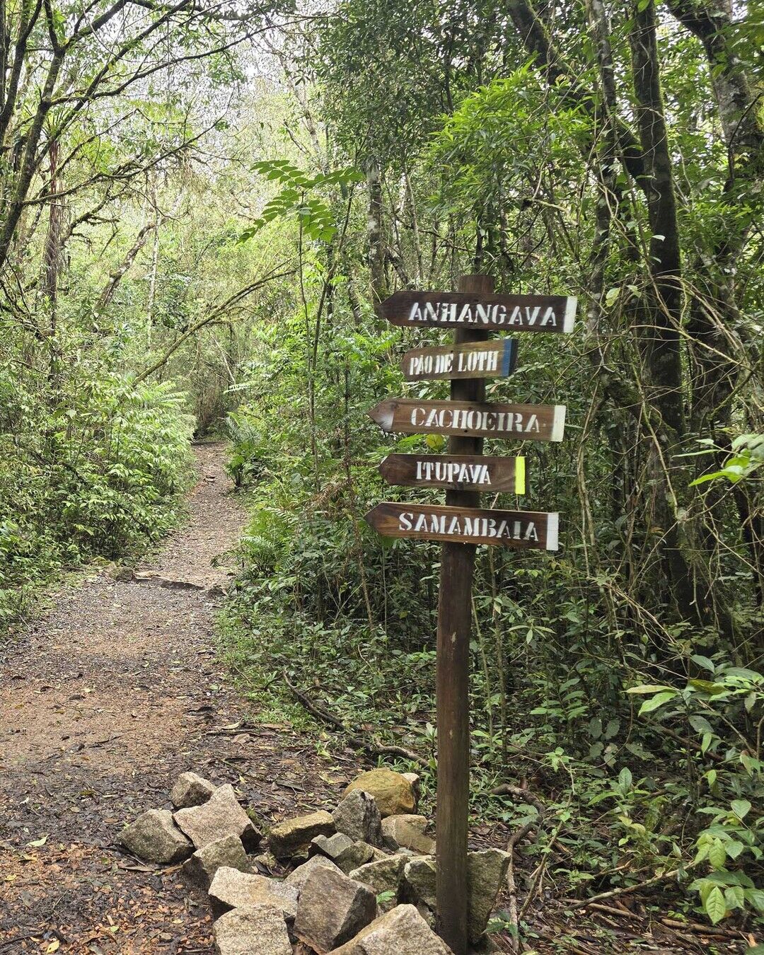 Parques Baitaca e Pico Paraná seguem fechados; reabertura depende do tempo