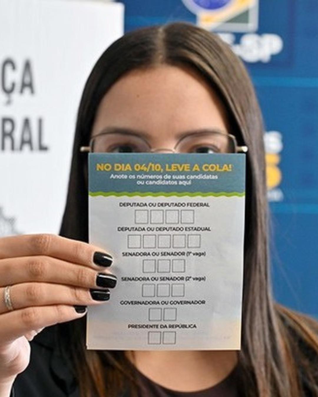 Saiba como será a ordem de votação nas Eleições 2026